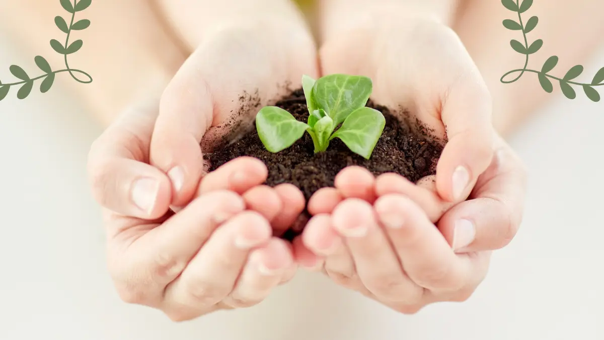 Plant Parent La app para cuidar de tus plantas